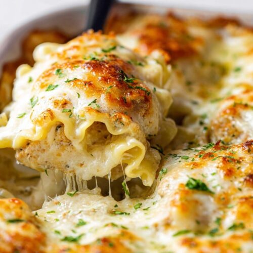 Cheesy chicken Alfredo lasagna rolls with melted mozzarella and Alfredo sauce bubbling in baking dish, lightly browned on edges and topped with fresh parsley.